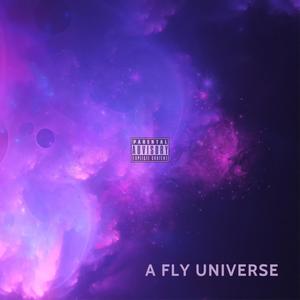 A Fly Universe (Explicit)