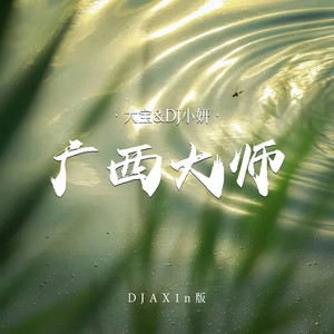 广西大师 (DJAX1n版)