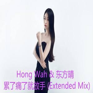 东方晴儿-东方晴儿 - 累了痛了就放手 (DJ雅康 Extended Mix|DJ骓康 / 东方晴儿 remix)封面