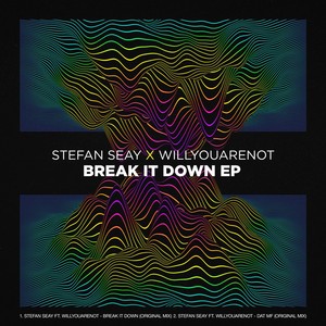 Break It Down (feat. Willyouarenot) [Explicit]