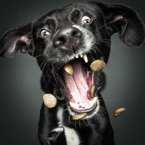 Regular Show (Explicit)