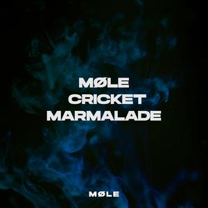 MØLE CRICKET MARMALADE