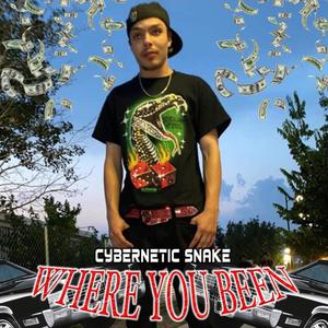 Where You Been? (feat. Cybernetic Snake) [Explicit]