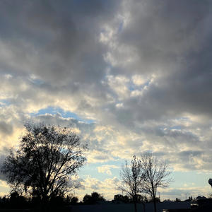 Florez (feat. Yung Slug & Young Montie) (Explicit)