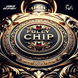 Fully Chip