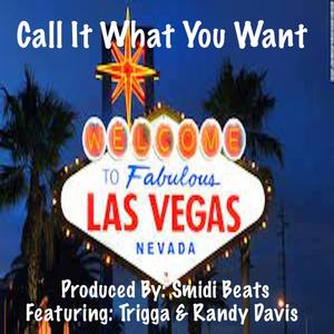Call It What You Want (feat. Trigga G & Randy Davis) (Explicit)