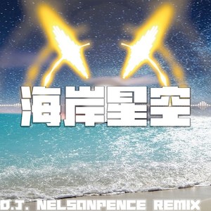 海岸星空（DJ NelsonPence Mix）