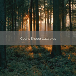 4 REM: Count Sheep Lullabies