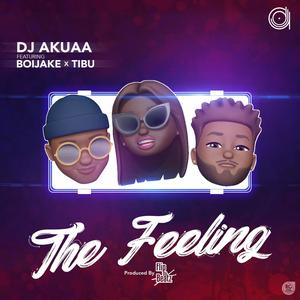 The Feeling(feat. BoiJake & Tibu)