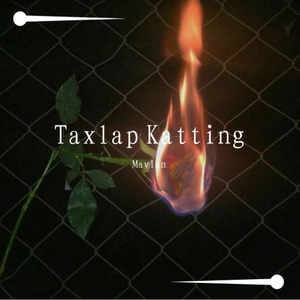 Taxlap Katting