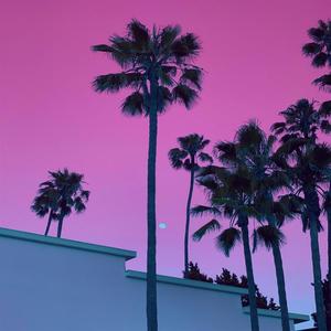 Palm Trees(feat. Jay Wile)