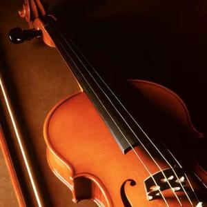 009.André Rieu-Nightingale Serenade