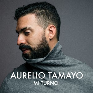 Mi Turno