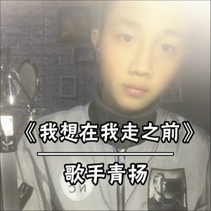 我想在我走之前