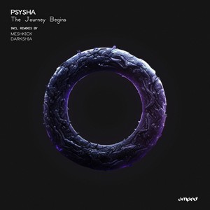 The Journey Begins (Darkshia Remix)