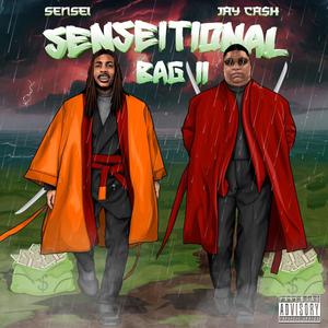 Senseitional Bag II (Explicit)