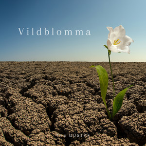 Vildblomma