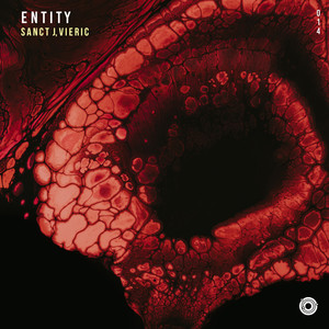 Entity