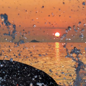 Montagem Nada Tropica