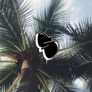 Palm trees