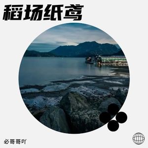 稻场纸鸢DJ版 (Remix)