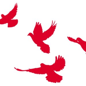 囚歌之烈火中的永生