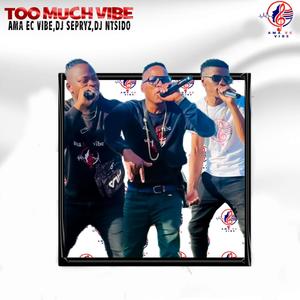 Too much vibe (feat. Dj sepryz & Dj Ntsido)