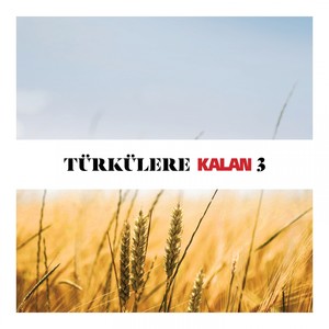 Türkülere Kalan, Vol. 3