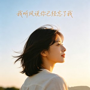 我听风说你已经忘了我