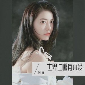 世界上哪有真爱