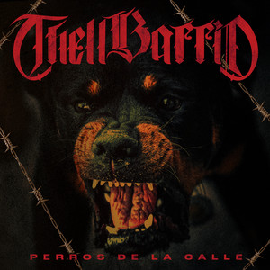 Perros De La Calle (Explicit)