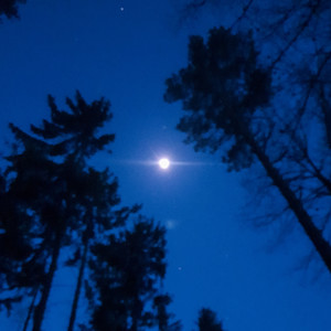 play pretend (Explicit)