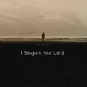 I Sought the Lord