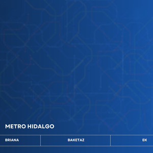 Metro Hidalgo