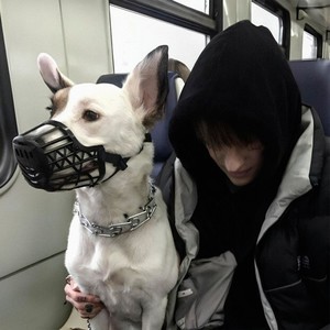 Butterflypoison (Explicit)