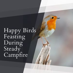 Campfire and in Blanket