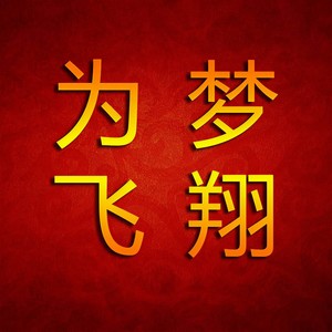 为梦飞翔