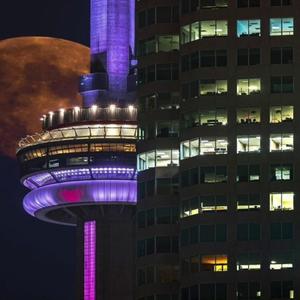 Million Dollar Wop (Explicit)