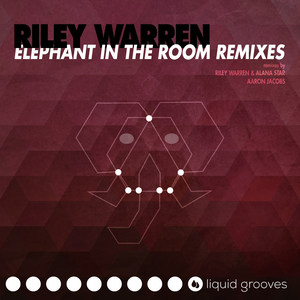 Elephant in the Room (Aaron Jacobs Remix)