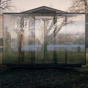 noah monoton - like a dog in the rain