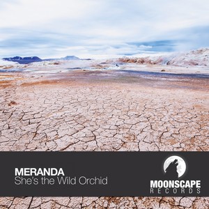 She's The Wild Orchid (Original Mix)