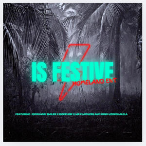 Is Festive (feat. Gino Uzokdlalela, Dowayne Smiler, Doepline & Mr Flawless)