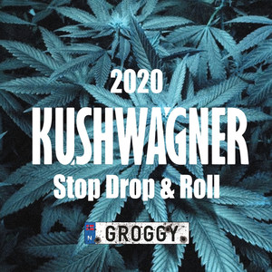 Stop Drop & Roll 2020 (Explicit)
