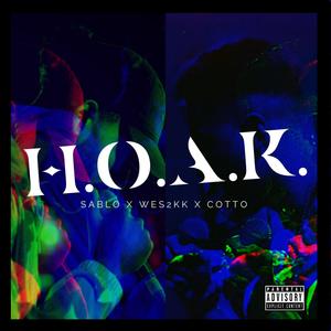H.O.A.K.(feat. Wes2kk) (Explicit)