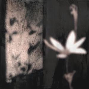 Gravestone (feat. DaysToWaste)