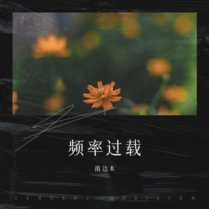 猫鼠游戏