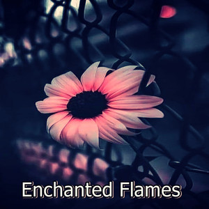 Enchanted Flames