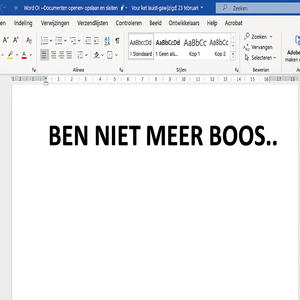 BEN NIET MEER BOOS..