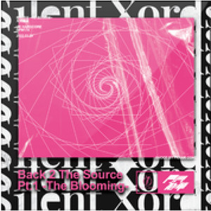 樱色月华 ~Re_Bloom~