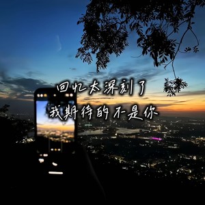 你的回忆太深刻了-我期待的不是你